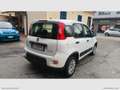 Fiat Panda 1.0 GSE Hybrid Street Van 4 p.ti Bianco - thumbnail 5
