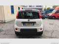 Fiat Panda 1.0 GSE Hybrid Street Van 4 p.ti Bianco - thumbnail 6