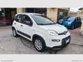 Fiat Panda 1.0 GSE Hybrid Street Van 4 p.ti Bianco - thumbnail 3