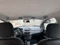 Fiat Punto Evo 5p 1.3 mjt Active s&s 75cv Bianco - thumbnail 8