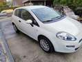 Fiat Punto 1.2i 8v 60 S Blanc - thumbnail 3