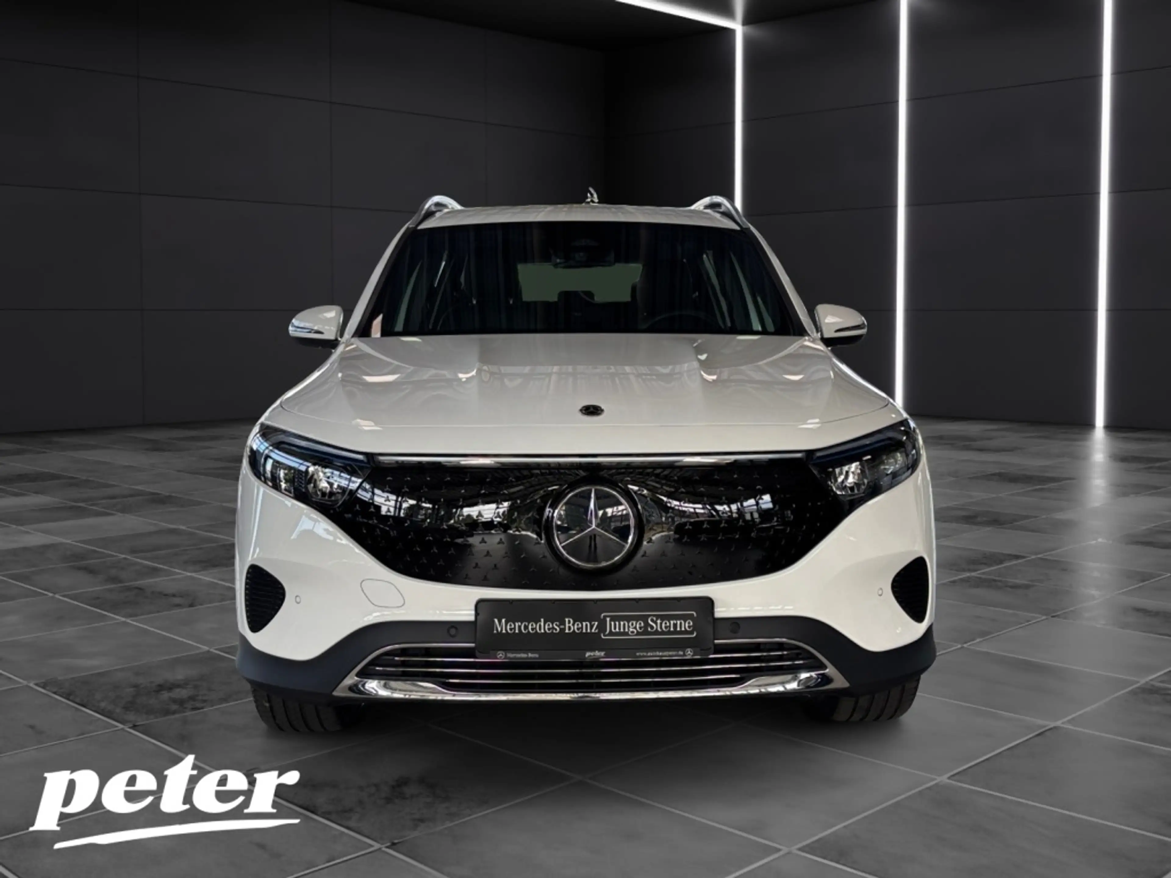 Mercedes-Benz EQB 250 + Progressive*Advanced*LED*5+2 Sitzer* — photo 3
