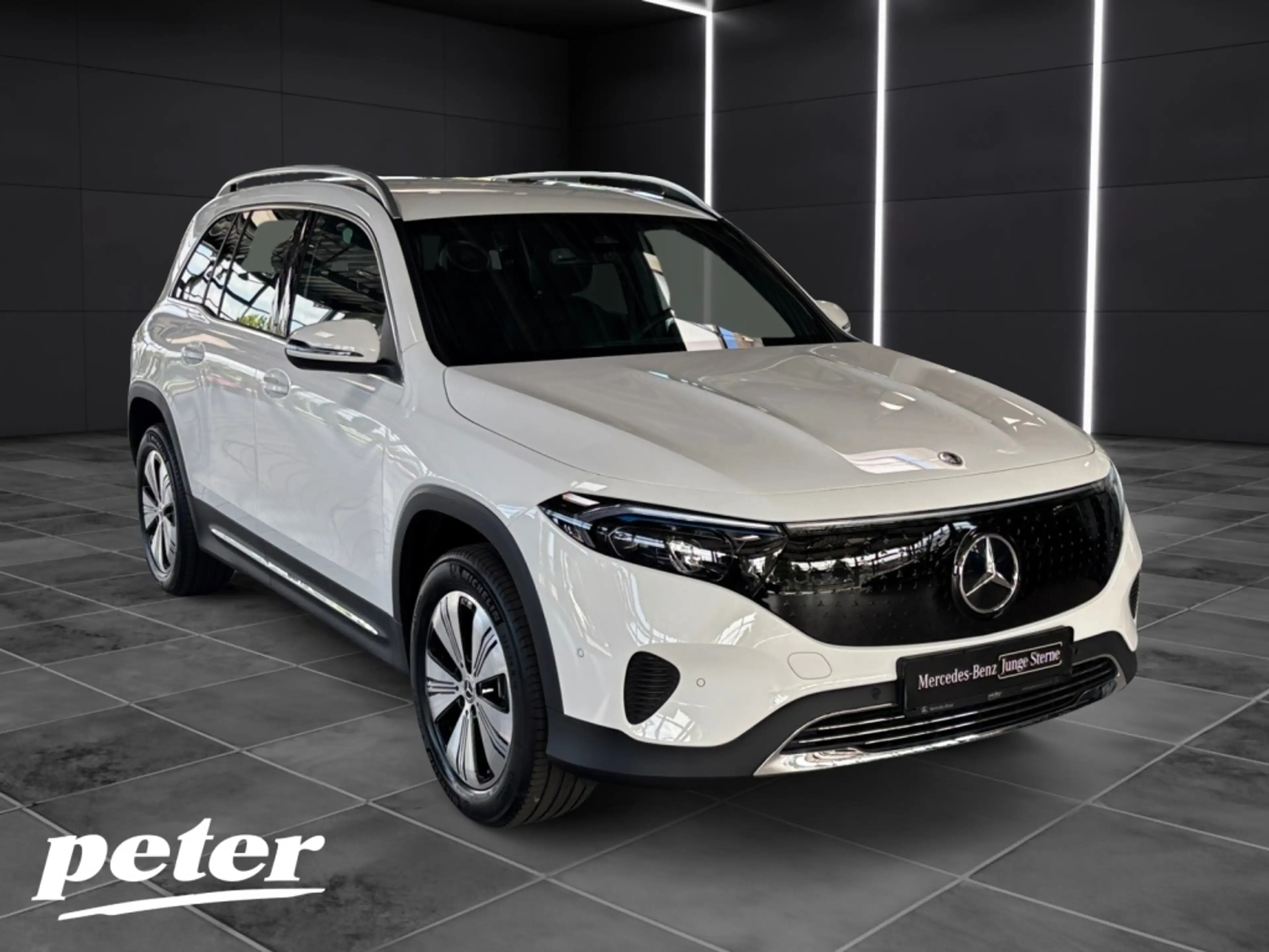 Mercedes-Benz EQB 250 + Progressive*Advanced*LED*5+2 Sitzer* — photo 4
