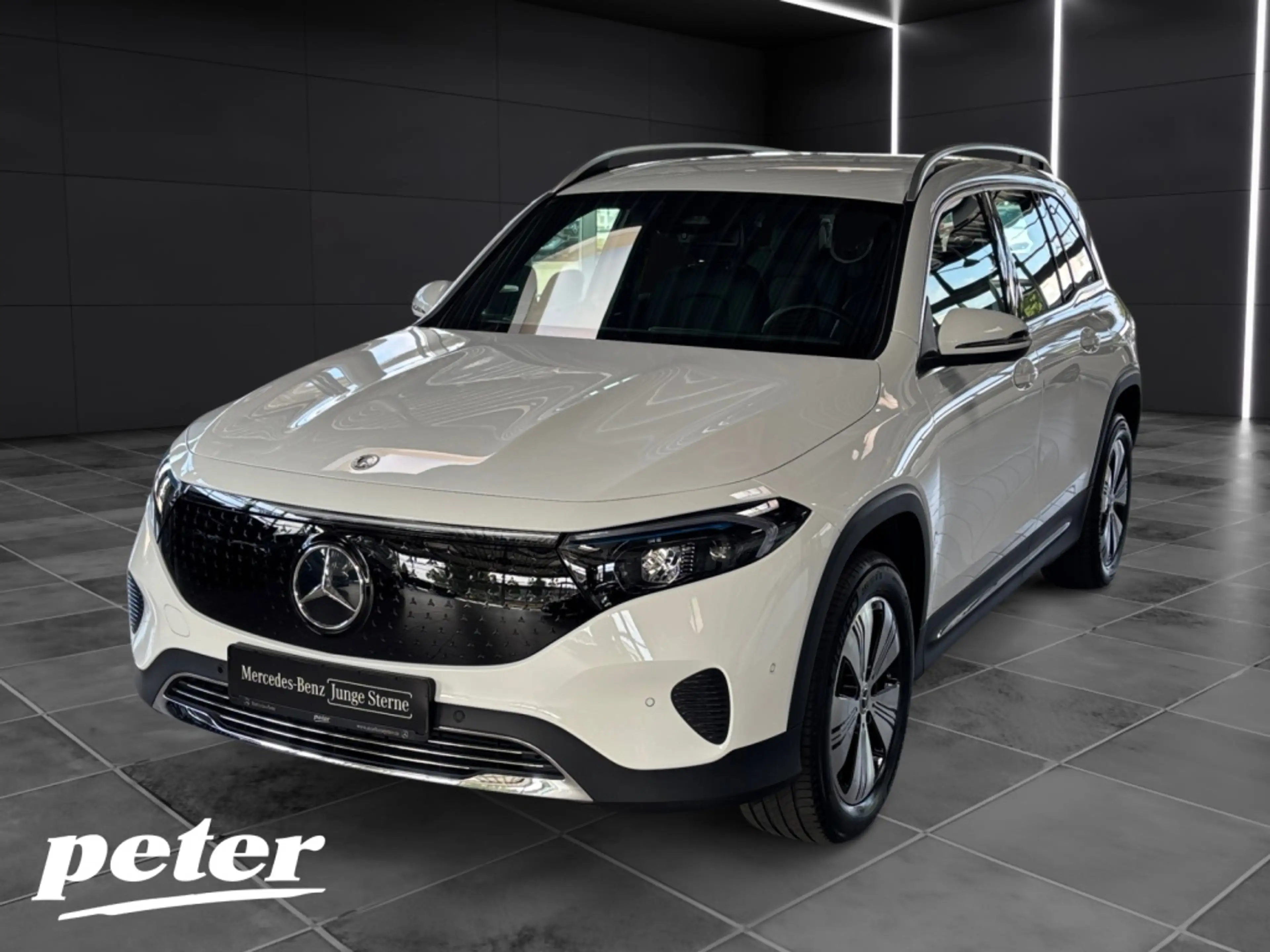 Mercedes-Benz EQB 250 + Progressive*Advanced*LED*5+2 Sitzer*