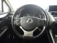 Lexus NX 300 300h Executive 4WD Tecno Gris - thumbnail 9