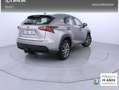 Lexus NX 300 300h Executive 4WD Tecno Gris - thumbnail 23
