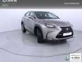 Lexus NX 300 300h Executive 4WD Tecno Gris - thumbnail 24