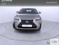 Lexus NX 300 300h Executive 4WD Tecno Gris - thumbnail 5