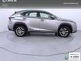 Lexus NX 300 300h Executive 4WD Tecno Gris - thumbnail 22