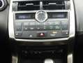 Lexus NX 300 300h Executive 4WD Tecno Gris - thumbnail 20
