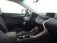 Lexus NX 300 300h Executive 4WD Tecno Gris - thumbnail 6