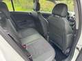Opel Corsa Opel Corsa 1.2 Cosmo 2014 74dkm! nieuwstaat 1e eig Wit - thumbnail 12