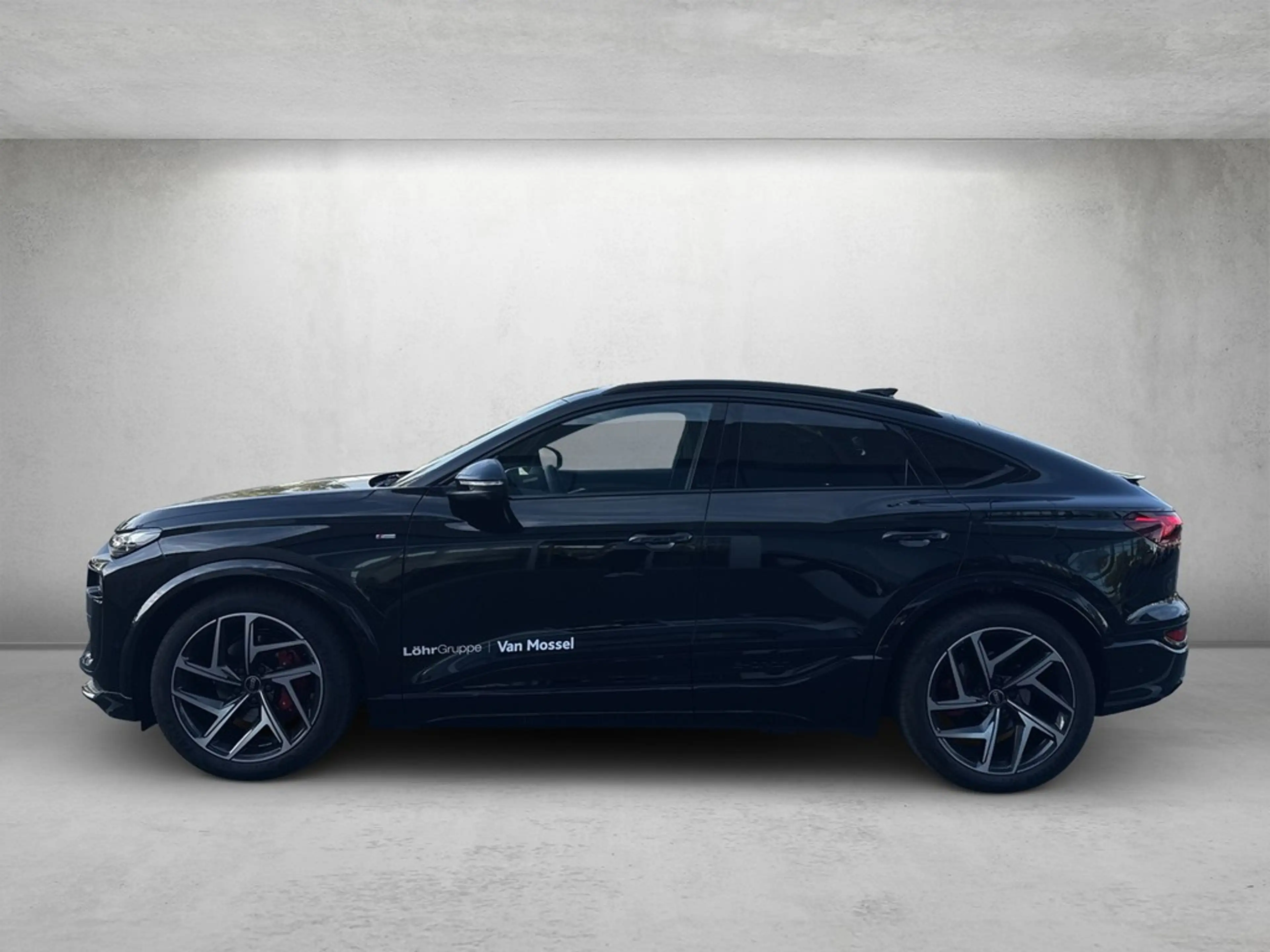 Audi e-tron performance 225 kW — photo 2