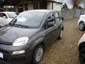 Fiat Panda Panda III 2016 1.2 Easy easypower Gpl 69cv my19 Grigio - thumbnail 3