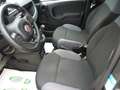 Fiat Panda Panda III 2016 1.2 Easy easypower Gpl 69cv my19 Grigio - thumbnail 8