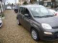 Fiat Panda Panda III 2016 1.2 Easy easypower Gpl 69cv my19 Grigio - thumbnail 2