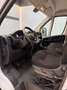 Fiat Ducato FIAT Industrial  Manual de 4 Puertas Blanco - thumbnail 12
