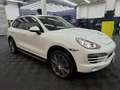 Porsche Cayenne Diesel*R-Cam*Leder*Xenon*21Zoll*Top Weiß - thumbnail 2