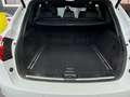 Porsche Cayenne Diesel*R-Cam*Leder*Xenon*21Zoll*Top Weiß - thumbnail 25