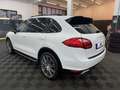 Porsche Cayenne Diesel*R-Cam*Leder*Xenon*21Zoll*Top Weiß - thumbnail 3