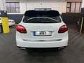 Porsche Cayenne Diesel*R-Cam*Leder*Xenon*21Zoll*Top Weiß - thumbnail 4