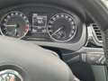 Skoda Rapid/Spaceback 1,4 TDI Sport | Xenon | Panoramadach | AHK | 4,6l/100km Blau - thumbnail 12