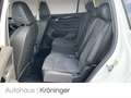 Volkswagen Tayron 1.5 eTSI DSG Elegance AHK Massage Navi Weiß - thumbnail 10