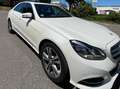 Mercedes-Benz E 200 Diamantweiss Met. Glasdach, NAVI, Avantgarde/Sport Weiß - thumbnail 2