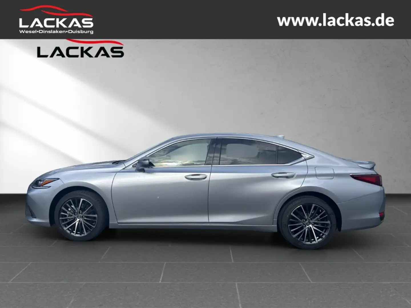 Lexus ES 300 h*BUSINESS*SOFORT*SCHIEBEDACH*15J-GARANTIE* Argent - 2