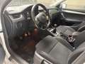 Skoda Octavia SW 2.0 CR TDi Ambition - thumbnail 6