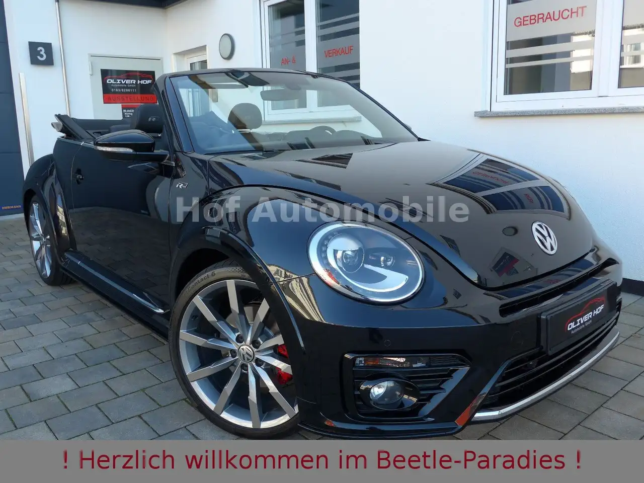 Volkswagen Beetle