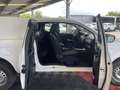 Nissan Navara 2.3 DCI 160 CHASSIS CAB KING CAB VISIA Blanco - thumbnail 17