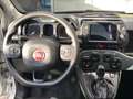 Fiat Panda Panda 1.0 FireFly  Hybrid City Cross Blanc - thumbnail 12