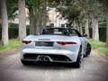 Jaguar F-Type 3.0 V6 S Convertible / 380 PK / STOELVERWARMING / Argent - thumbnail 10