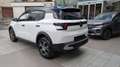 Citroen C3 Aircross C3 Aircross Turbo 100 Plus Bleu - thumbnail 7