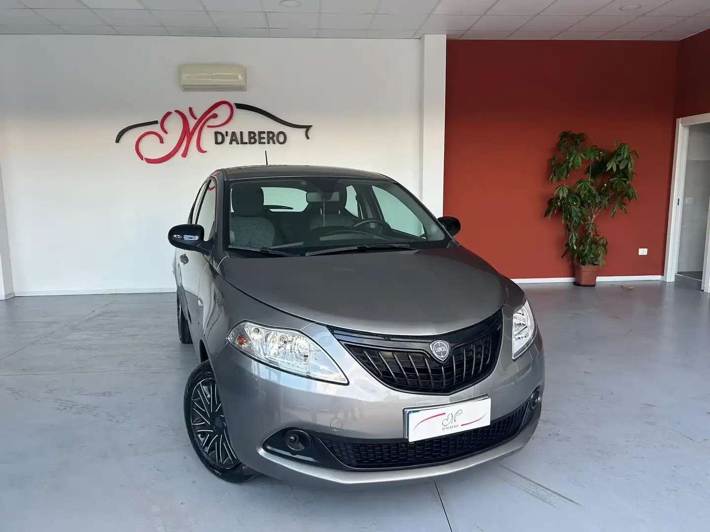 Lancia Ypsilon Ypsilon 1.0 FireFly 5 porte S&S Hybrid Alberta Fe Grau - 1