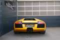 Lamborghini Murciélago E- Gear EXP € 209.980,- Yellow - thumbnail 7