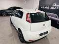 Fiat Punto Punto III 2012 3p 1.3 mjt 16v Street (easy) 75cv Bianco - thumbnail 4