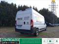 Fiat Ducato 35 LH2 2.3 mjt 140cv E6d-temp Bianco - thumbnail 7