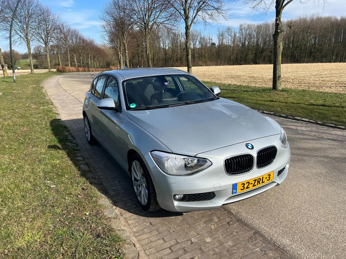 BMW 118 118 118d Business Zilver - 1