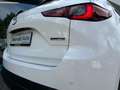 Mazda CX-5 2.5 SkyActive Automaat CarPlay, LED, Camera's, 19I Wit - thumbnail 22