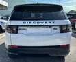 Land Rover Discovery Sport 2.0d i4 mhev S awd 150cv auto “TETTO PANORAMICO Weiß - thumbnail 5