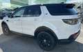 Land Rover Discovery Sport 2.0d i4 mhev S awd 150cv auto “TETTO PANORAMICO Weiß - thumbnail 4