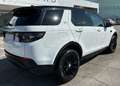 Land Rover Discovery Sport 2.0d i4 mhev S awd 150cv auto “TETTO PANORAMICO Weiß - thumbnail 6