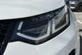 Land Rover Discovery Sport 2.0d i4 mhev S awd 150cv auto “TETTO PANORAMICO Weiß - thumbnail 7