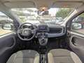 Fiat Panda 1.0cc HYBRID CITYLIFE 70cv Bianco - thumbnail 7