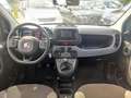 Fiat Panda 1.0cc HYBRID CITYLIFE 70cv Bianco - thumbnail 12
