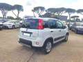 Fiat Panda 1.0cc HYBRID CITYLIFE 70cv Bianco - thumbnail 4
