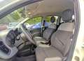 Fiat Panda 1.0cc HYBRID CITYLIFE 70cv Bianco - thumbnail 13