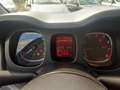 Fiat Panda 1.0cc HYBRID CITYLIFE 70cv Bianco - thumbnail 10